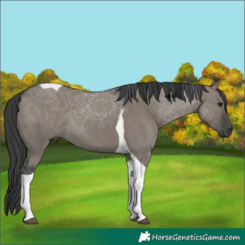 Horse Color:Grullo Tobiano 