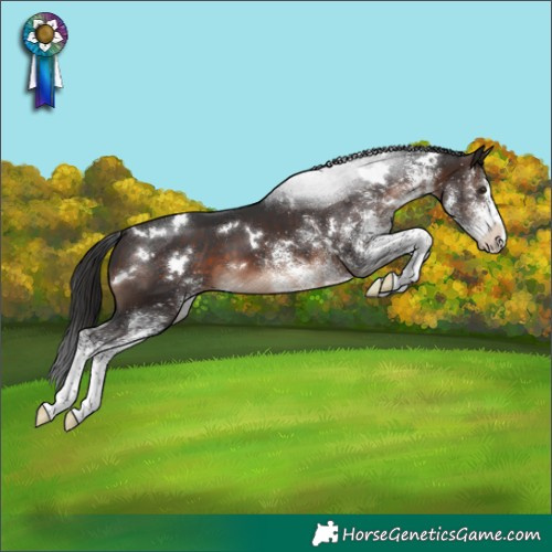 Horse Color:White Spotted Brown Mushroom Appaloosa 