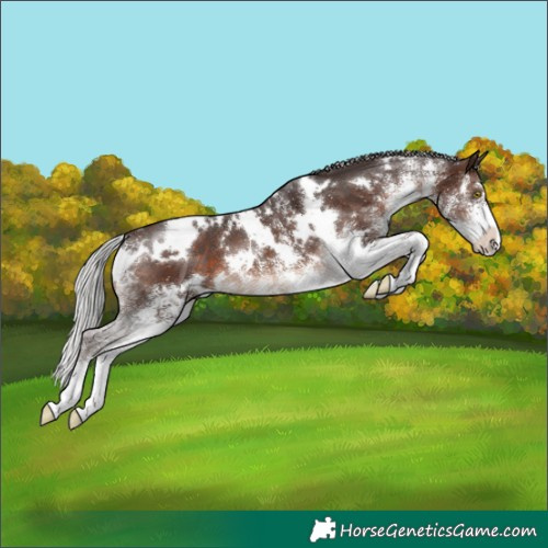 Horse Color:White Spotted Silver Brown Mushroom