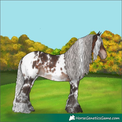 Horse Color:White Spotted Silver Brown Mushroom Appaloosa