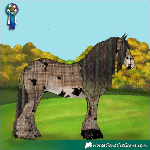 Horse Color:Void Plaid White Spotted Liver Chestnut Appaloosa