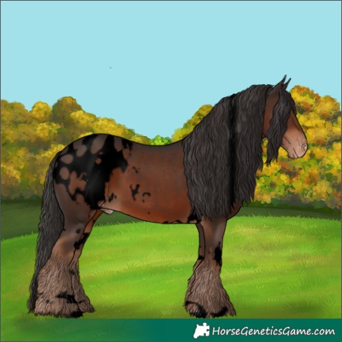 Horse Color:Void White Spotted Liver Chestnut Blanket 