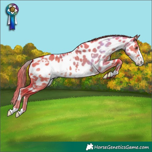 Horse Color:Watercolor White Spotted Liver Red Dun Frame Near Leopard 