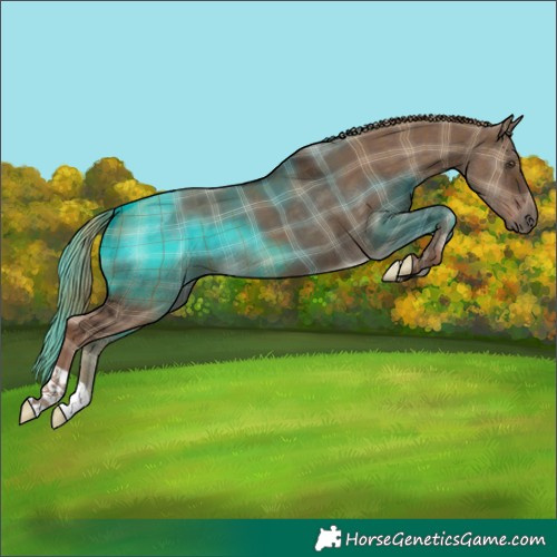 Horse Color:Plaid  Liver Red Dun 