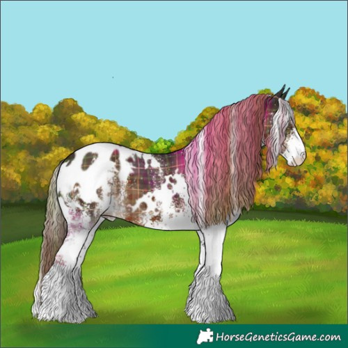 Horse Color:Plaid White Spotted Liver Chestnut Blanket