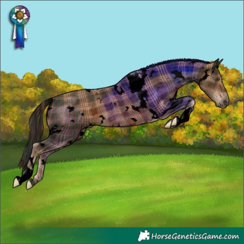 Horse Color:Void Plaid White Spotted Liver Chestnut Rabicano