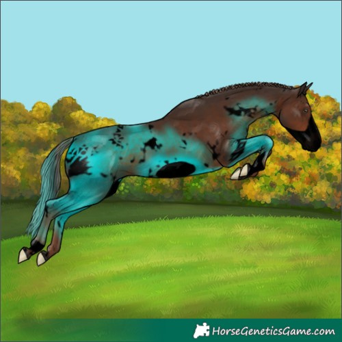 Horse Color:Void White Spotted Liver Chestnut Frame