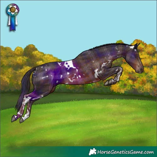 Horse Color:Plaid  White Spotted Liver Chestnut 