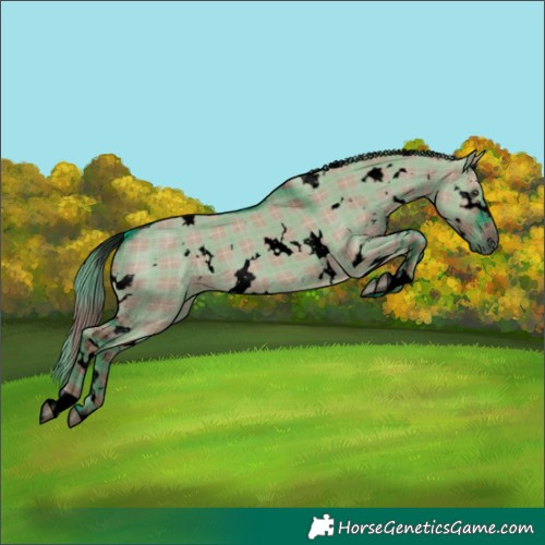 Horse Color:Void Plaid White Spotted Liver Red Dun