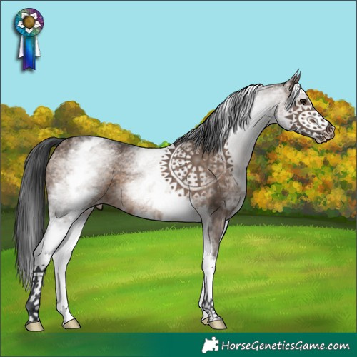 Horse Color:White Spotted Brown Dun Appaloosa