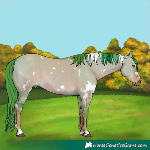 Horse Color:Watercolor White Spotted Liver Red Dun