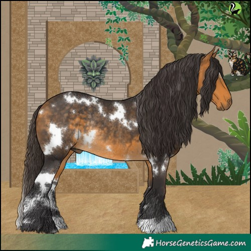 Horse Color:White Spotted Buckskin Rabicano