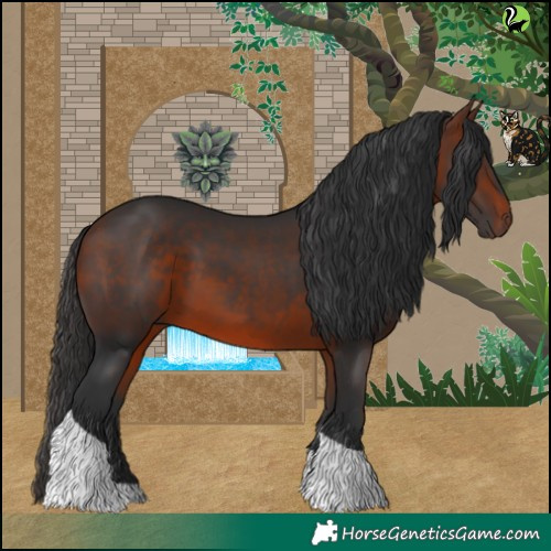 Horse Color:White Spotted Bay Tobiano Rabicano