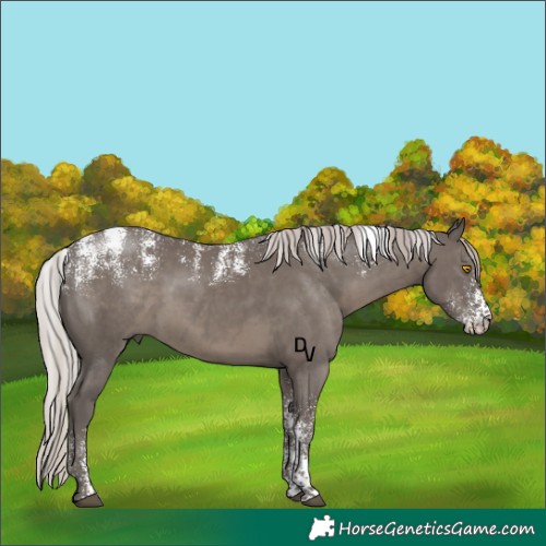 Horse Color:Powder White Silver Black