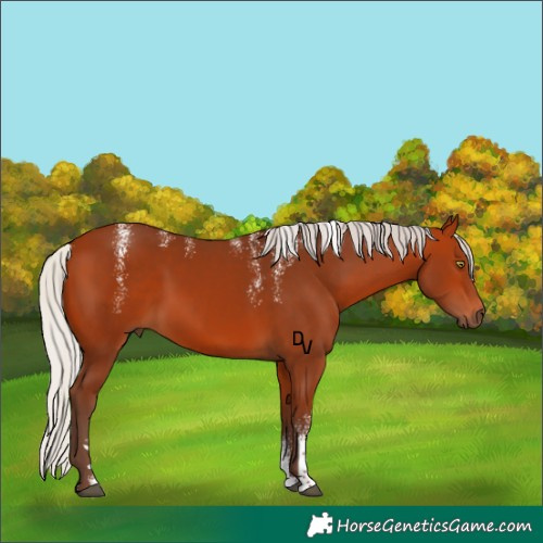 Horse Color:Powder White Silver Bay Rabicano 