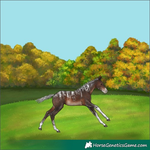 Horse Color:Powder White Silver Brown