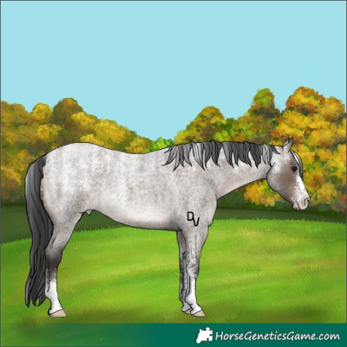 Horse Color:Powder White Brown Roan Dun