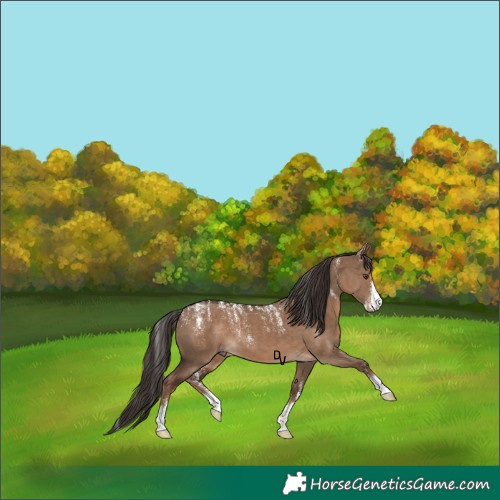 Horse Color:Powder White Liver Red Dun