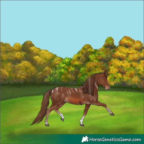 Horse Color:Powder White Chestnut 