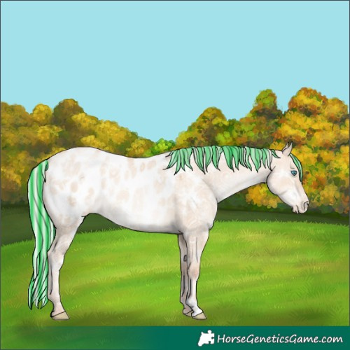 Horse Color:Painted White Spotted Silver Classic Champagne Ice Pearl Dun Blanket 