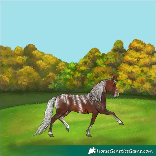 Horse Color:Powder White Silver Brown