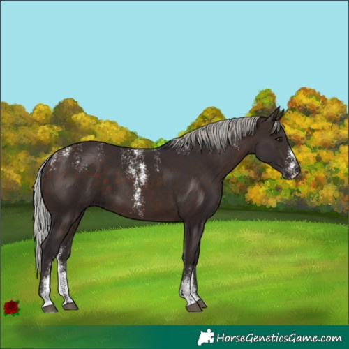 Horse Color:Powder White Silver Brown 