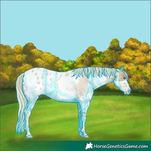 Horse Color:Thunderstruck Chocolate Palomino Roan Splash Blanket