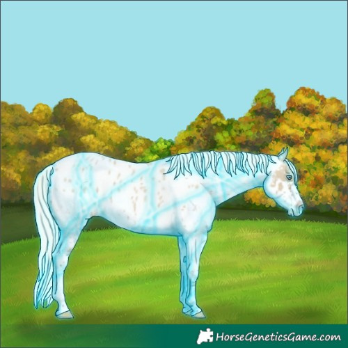 Horse Color:Thunderstruck Silver Smoky Grullo Roan Splash Near Leopard 