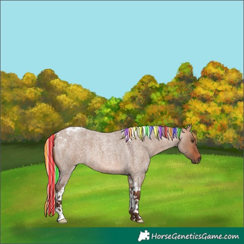 Horse Color:Painted Silver Bay Roan Dun Tobiano