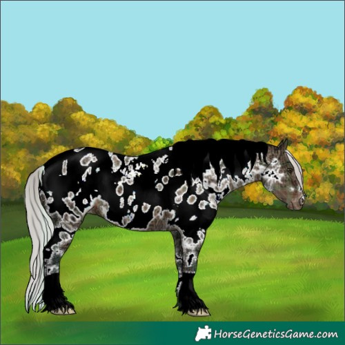Horse Color:Plaid White Spotted Silver Brown Ice Dun Blanket