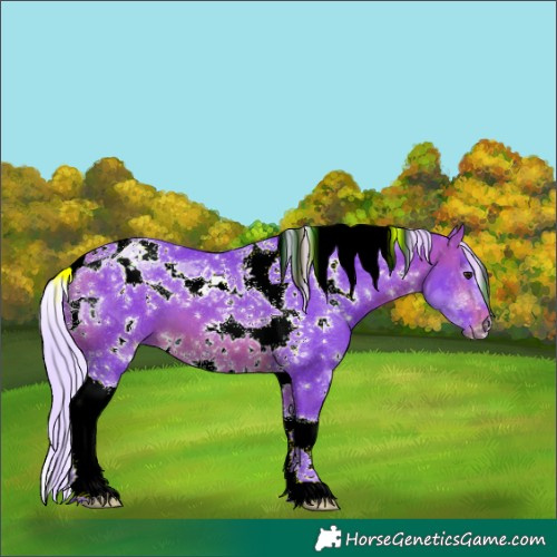 Horse Color:Watercolor White Spotted Silver Brown Tobiano 