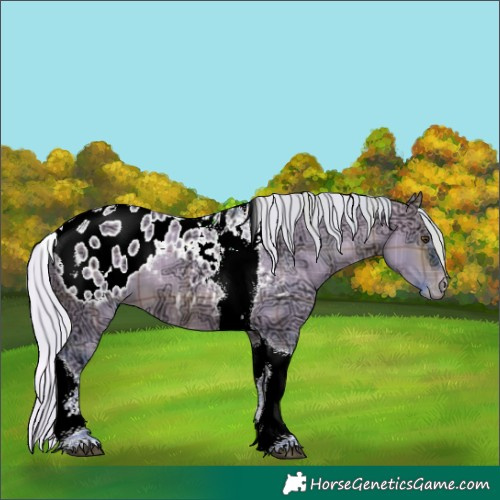 Horse Color:Watercolor Plaid Silver Brown Ice Dun Tobiano Blanket