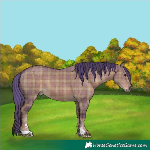 Horse Color:Plaid  Liver Red Dun 