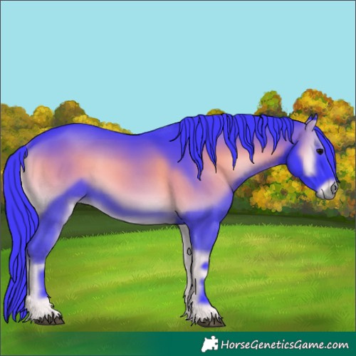 Horse Color:Watercolor Smoky Blue Onyx 