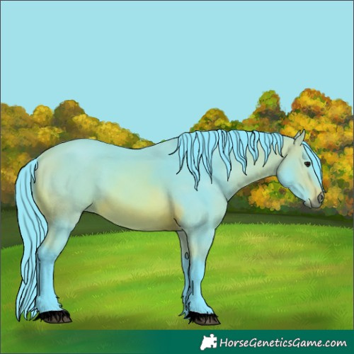 Horse Color:Watercolor Bay 
