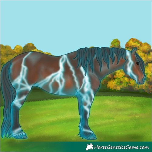 Horse Color:Thunderstruck Bay 