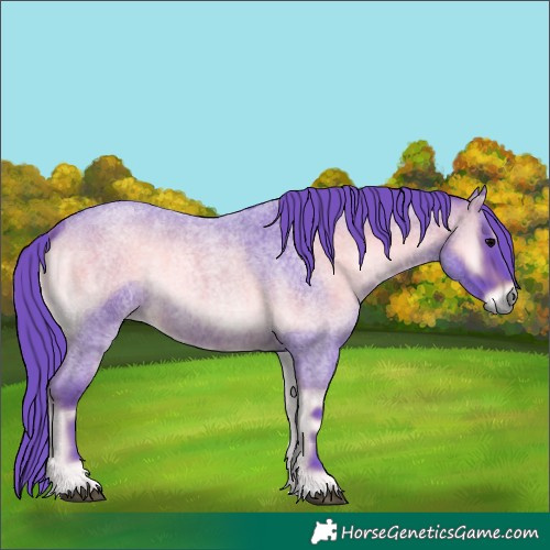 Horse Color:Watercolor Brown Roan Onyx