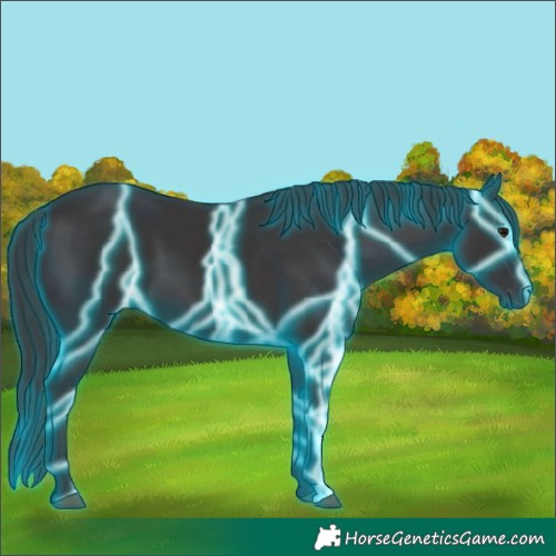 Horse Color:Thunderstruck Smoky Black