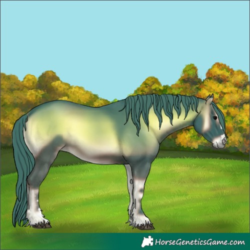Horse Color:Watercolor Blue Onyx