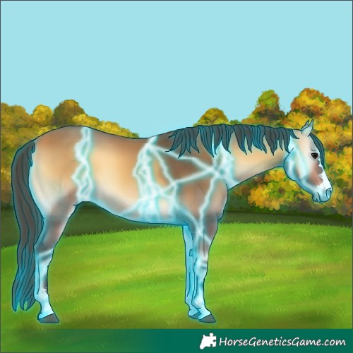 Horse Color:Thunderstruck Buckskin Onyx