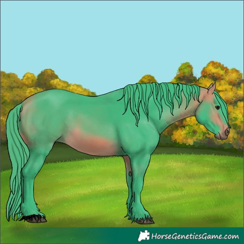 Horse Color:Watercolor Buckskin