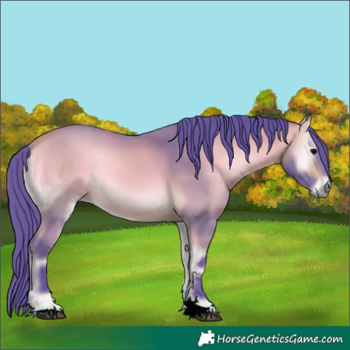 Horse Color:Watercolor Buckskin Onyx 