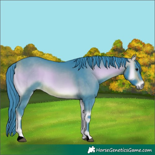 Horse Color:Watercolor Buckskin Onyx