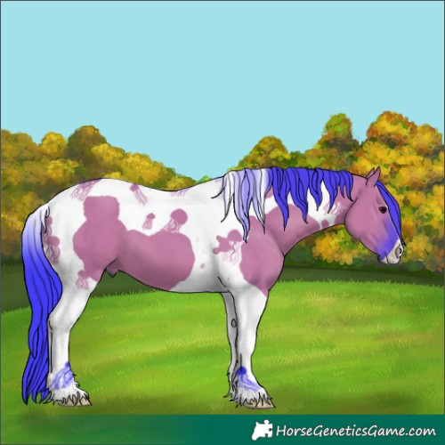 Horse Color:Watercolor Grullo Tobiano 