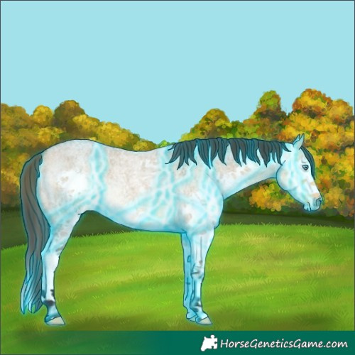 Horse Color:Thunderstruck Buckskin Roan Dun Splash 