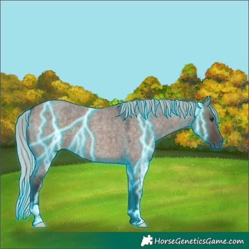 Horse Color:Thunderstruck Silver Brown Roan Dun