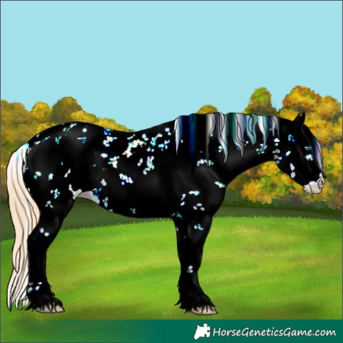 Horse Color:Smoky Black Pearl Sabino Blanket