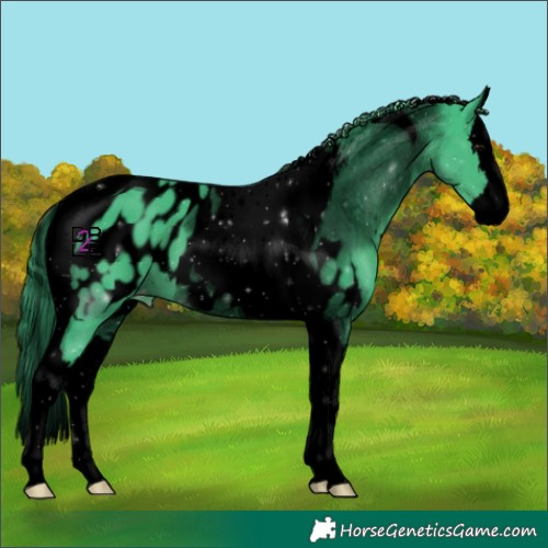 Horse Color:Void Watercolor Black Splash Tobiano Near Leopard