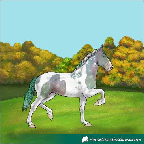 Horse Color:Watercolor Sable Champagne Tobiano 