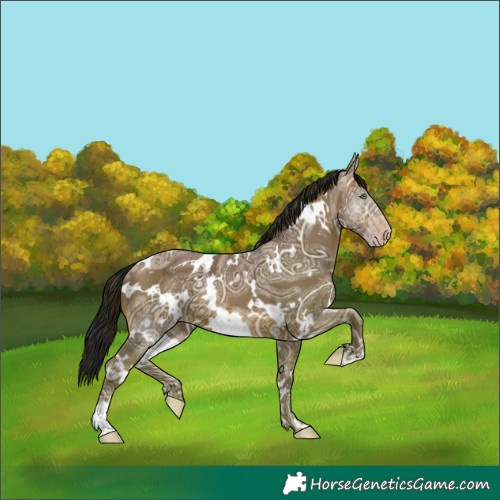 Horse Color:Gray White Spotted Sable Champagne Ice 